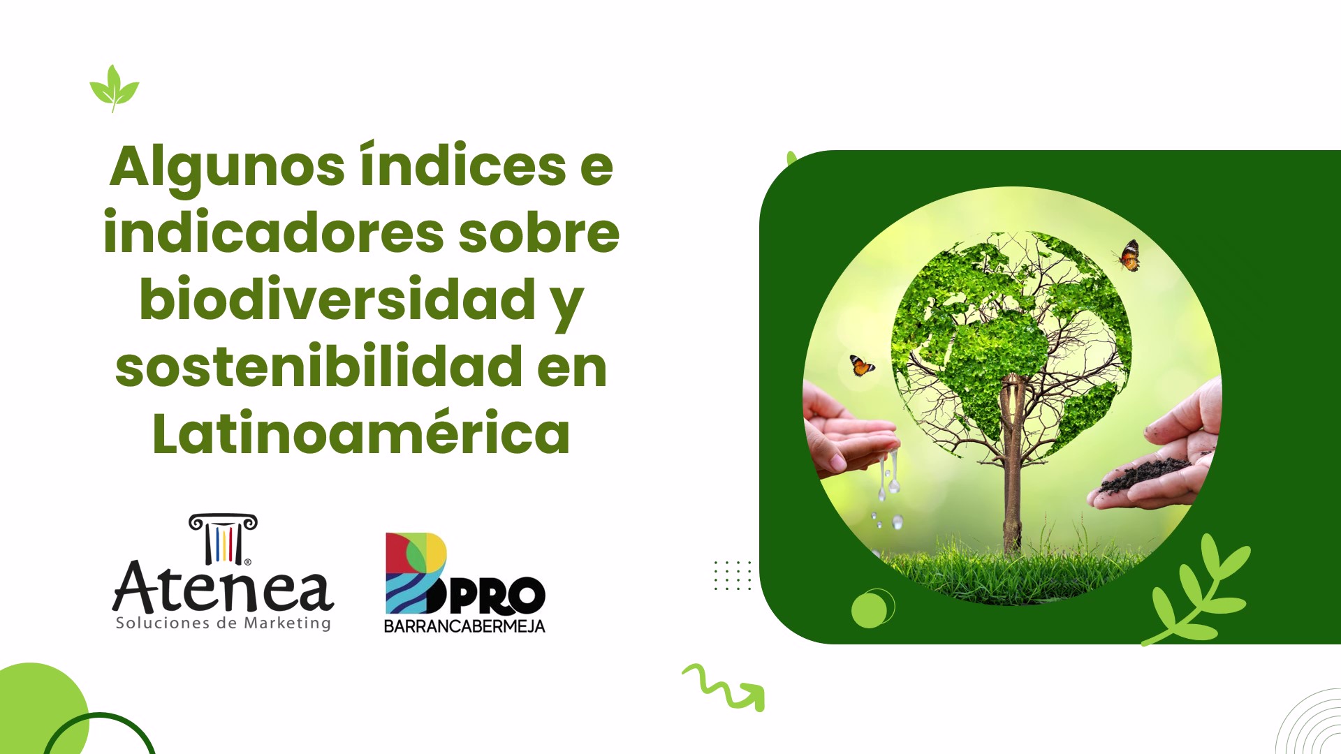 Algunos índices e indicadores sobre biodiversidad y sostenibilidad en latinoamérica Portada presentación índices e indicadores sobre biodiversidad y sostenibilidad en latinoamérica